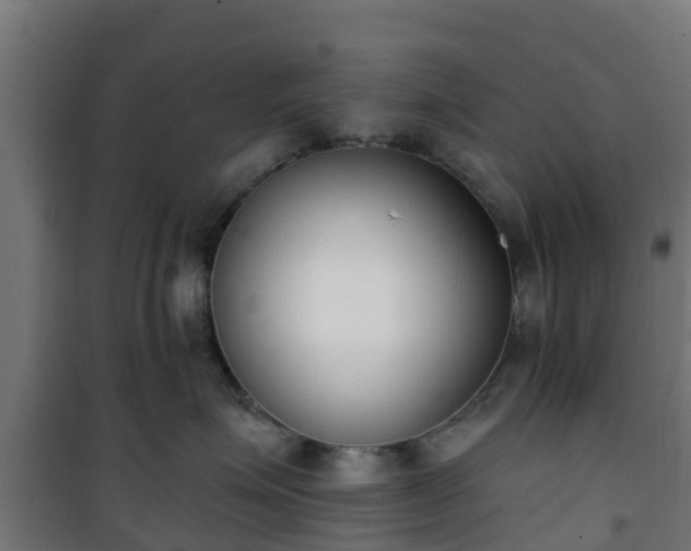 X0000101400623200807141158