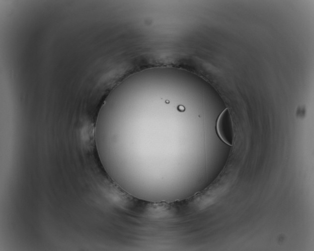 X0000101400624200807141158