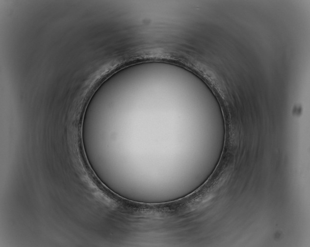 X0000101400625200807141157