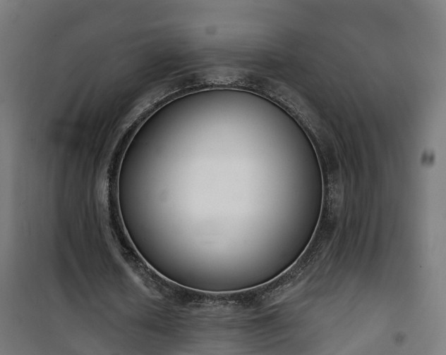 X0000101400626200807141157