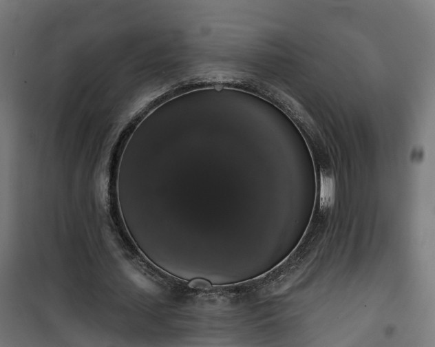 X0000101400627200807141157