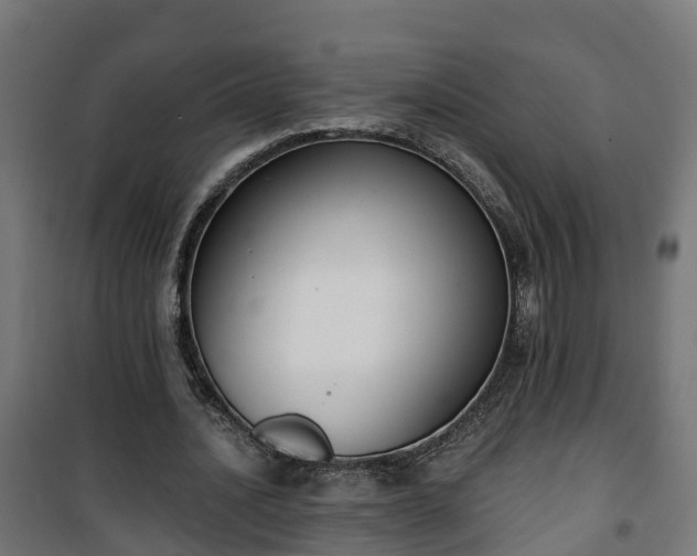 X0000101400628200807141157