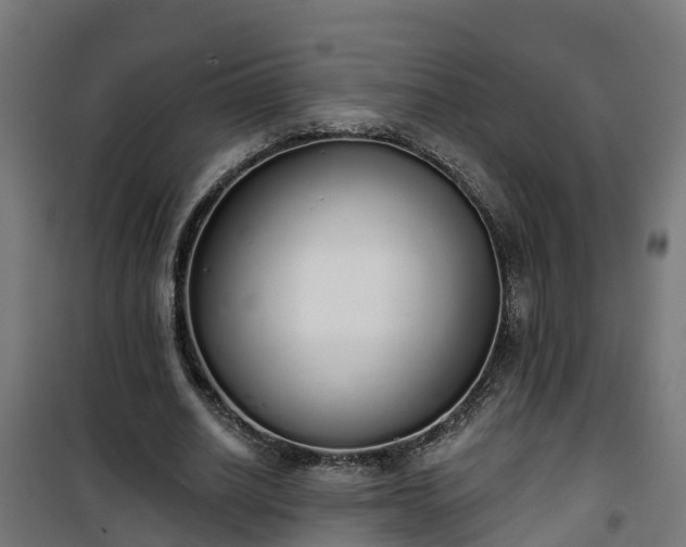 X0000101400630200807141157