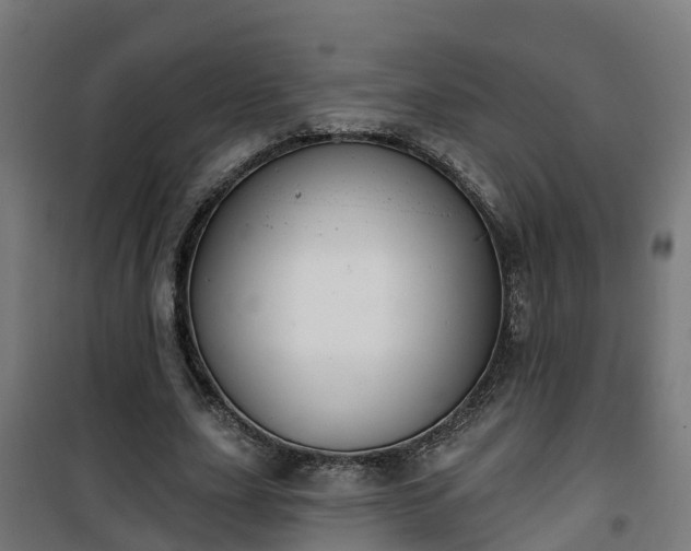 X0000101400631200807141157