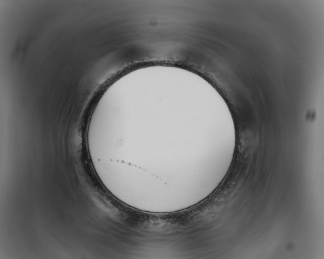 X0000101400632200807141157