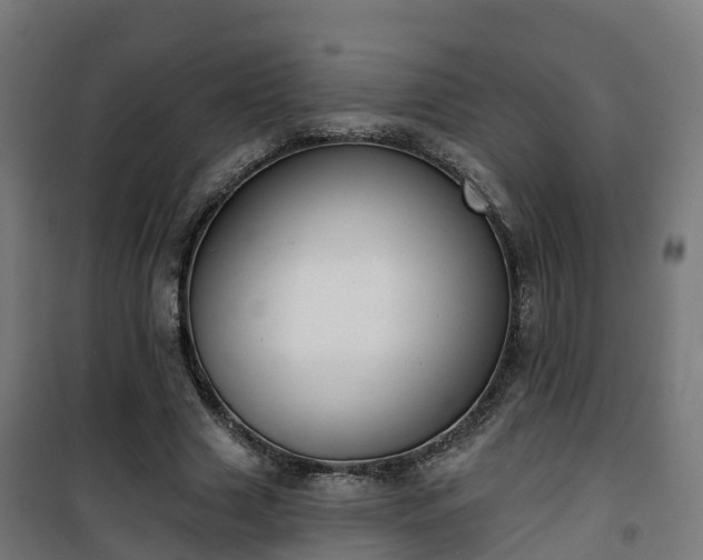 X0000101400633200807141157