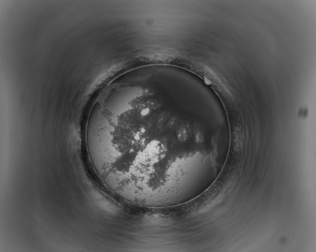 X0000101400634200807141157