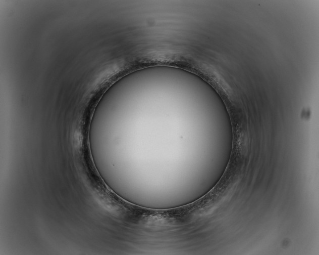 X0000101400635200807141157