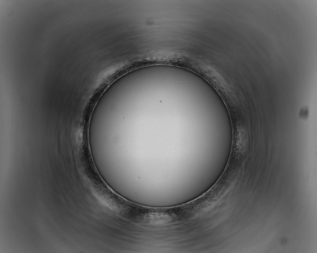 X0000101400636200807141157