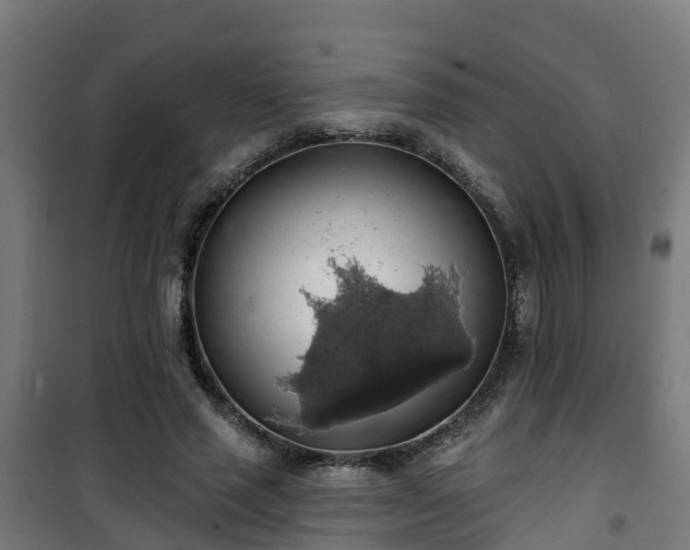 X0000101400637200807141157