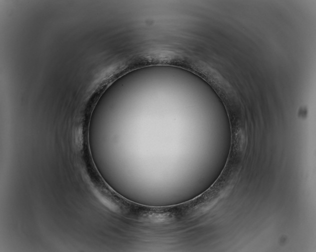 X0000101400638200807141157