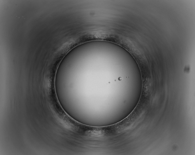 X0000101400639200807141157