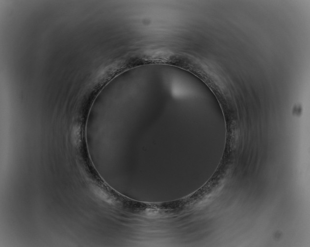 X0000101400641200807141157