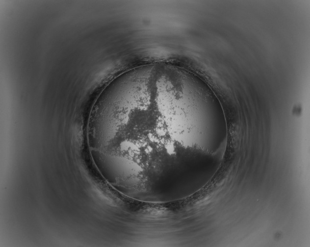 X0000101400642200807141157