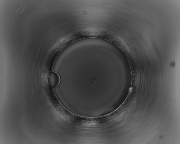 X0000101400643200807141157