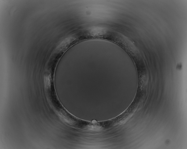 X0000101400644200807141157