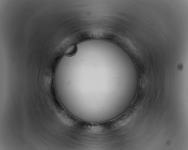 X0000101400645200807141158