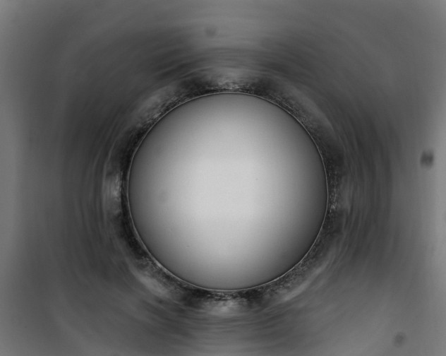 X0000101400646200807141158