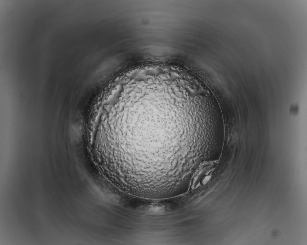 X0000101400647200807141158