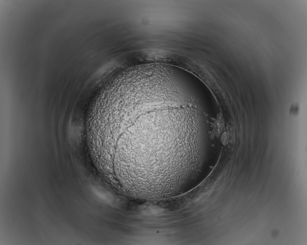 X0000101400648200807141158