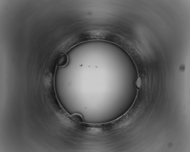 X0000101400649200807141158