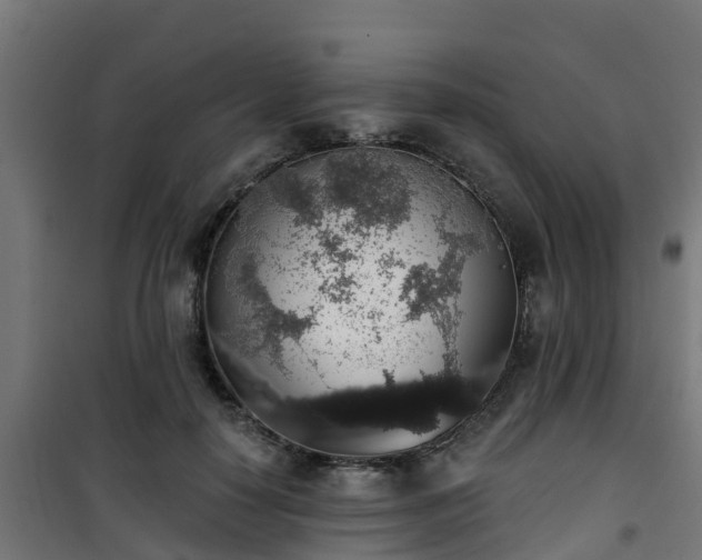 X0000101400650200807141158