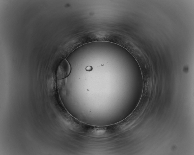 X0000101400651200807141158