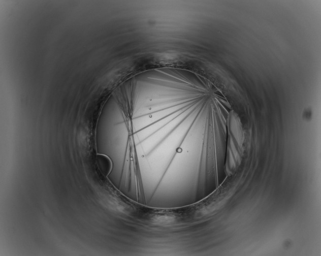 X0000101400653200807141158