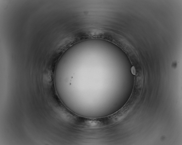 X0000101400654200807141158