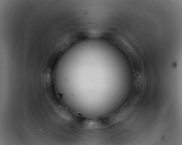 X0000101400655200807141158