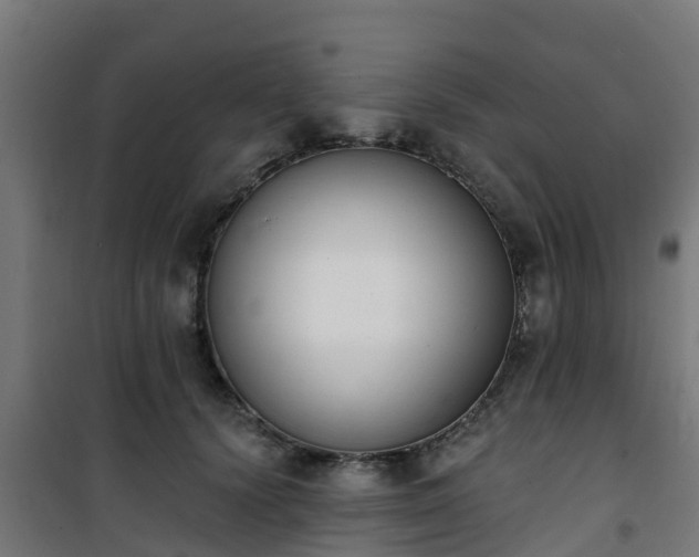 X0000101400656200807141158