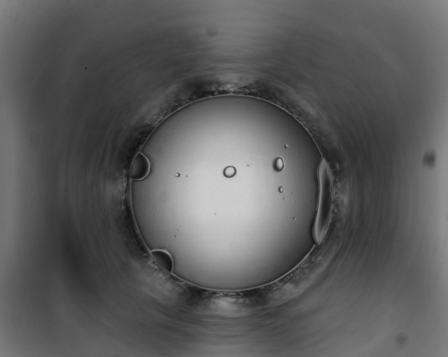 X0000101400657200807141158