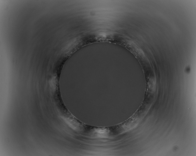 X0000101400659200807141158