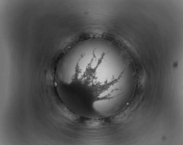 X0000101400661200807141158