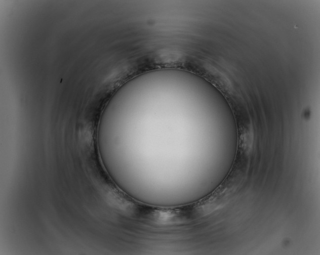 X0000101400662200807141158