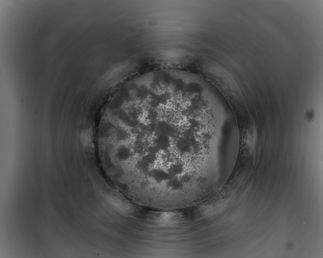 X0000101400663200807141158