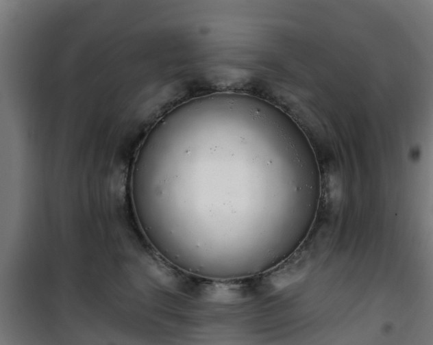 X0000101400664200807141158