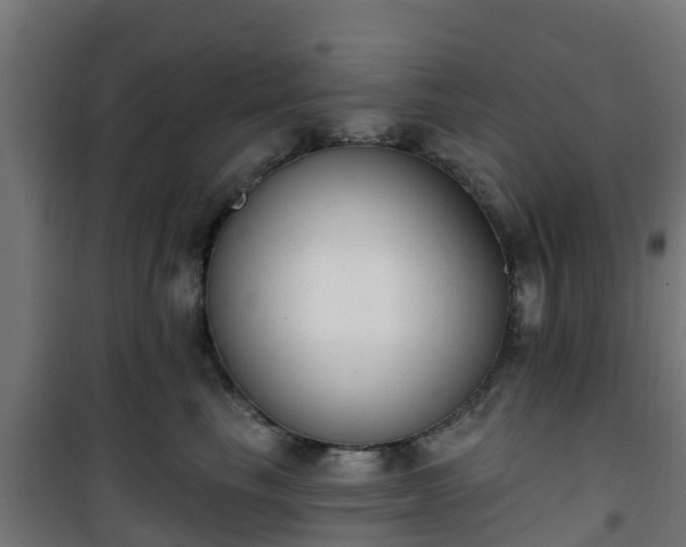 X0000101400665200807141158