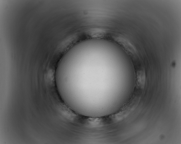 X0000101400667200807141158