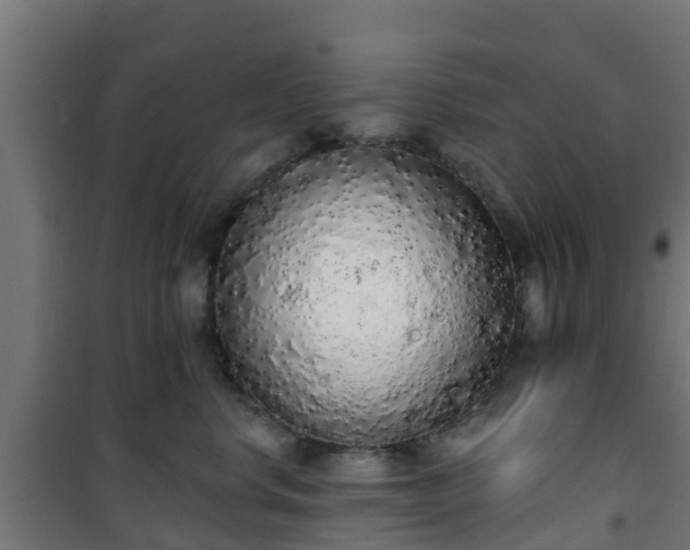 X0000101400668200807141158