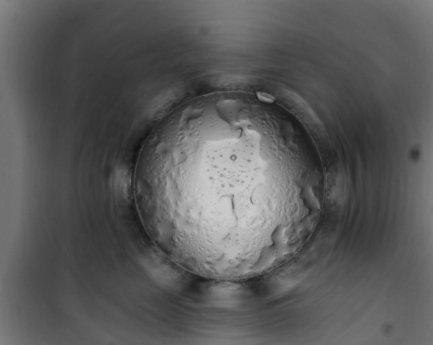 X0000101400669200807141158