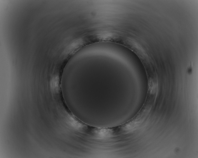 X0000101400670200807141158