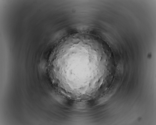 X0000101400671200807141158