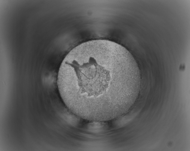 X0000101400672200807141158