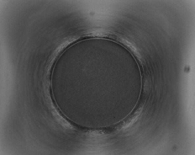 X0000101400673200807141157