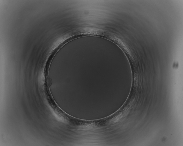 X0000101400674200807141157