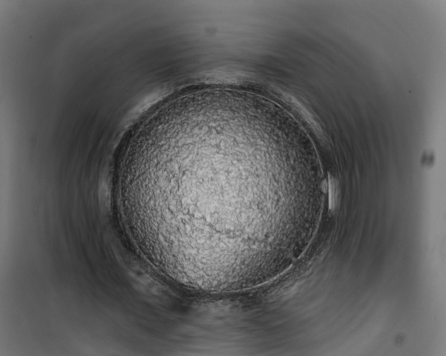 X0000101400675200807141157