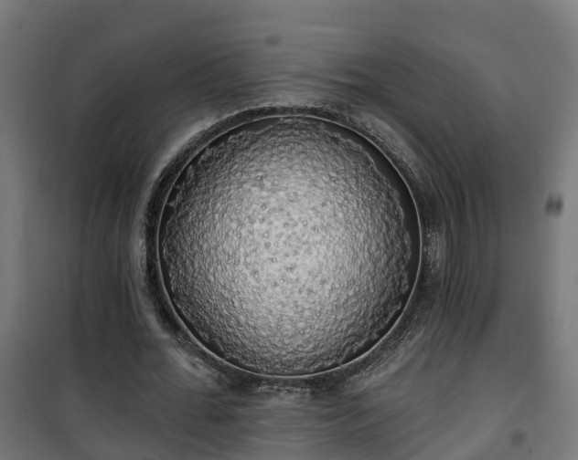 X0000101400676200807141157