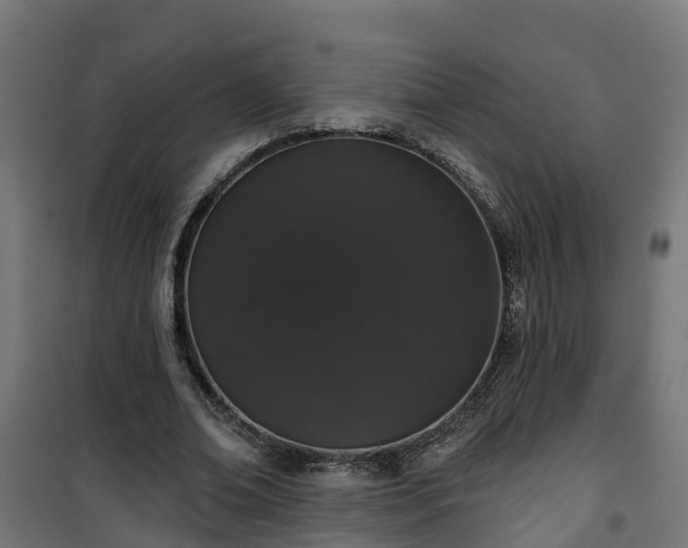 X0000101400678200807141157