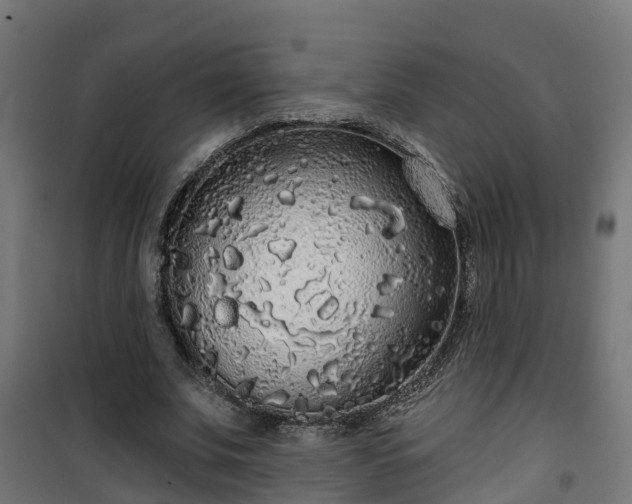 X0000101400679200807141157